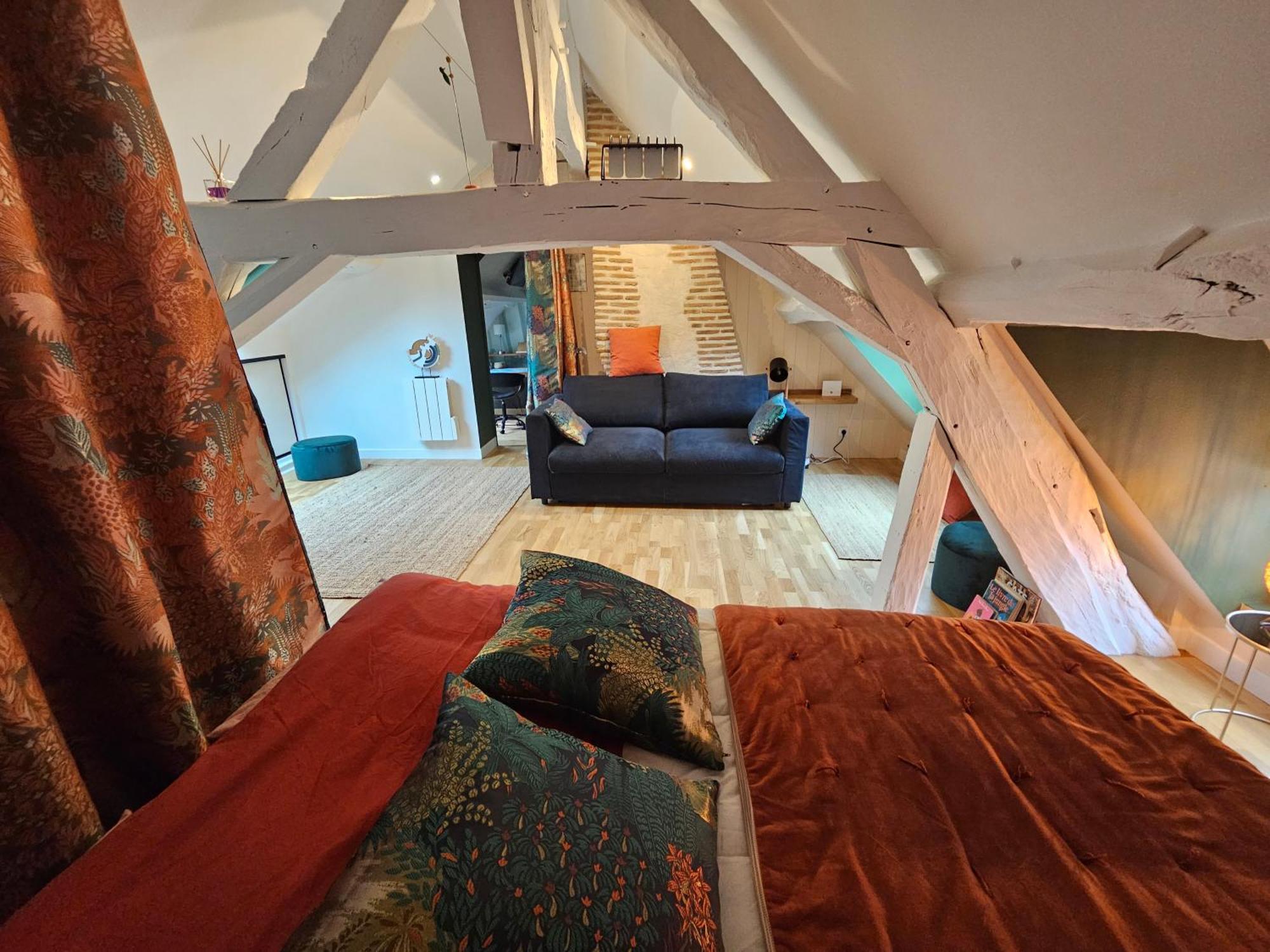 Gîte Le Sully, maison solognote, grand jardin clôturé La Ferté-Saint-Aubin Esterno foto
